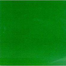 Skankin' Pickle : The Green Album